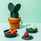 Cactus Coaster set