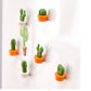 Cactus Refrigerator Magnets